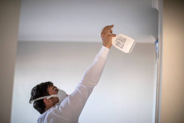 Best Crawl Space Mold Removal  in Silver Creek, NY