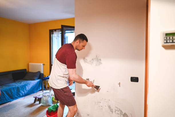 Best Certified Mold Removal  in Silver Creek, NY